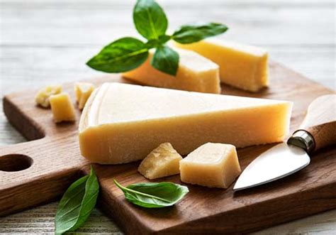 peynir çeşitleri ithal
